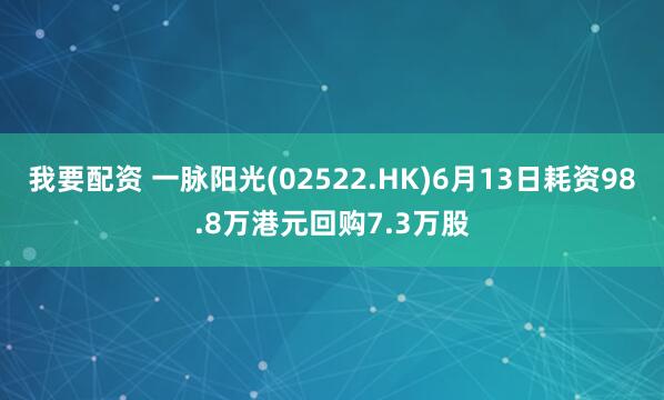 我要配资 一脉阳光(02522.HK)6月13日耗资98.8万港元回购7.3万股