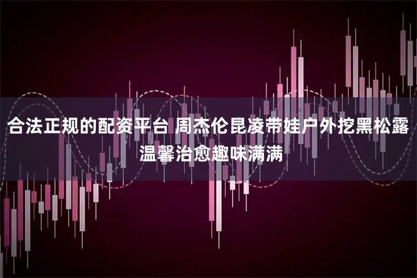 合法正规的配资平台 周杰伦昆凌带娃户外挖黑松露 温馨治愈趣味满满